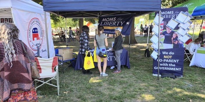 Pekin Marigold Festival - Community Spotlight - Art in the Park