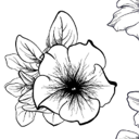 Elizabeth Buschbacher