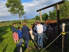 IMG_6131