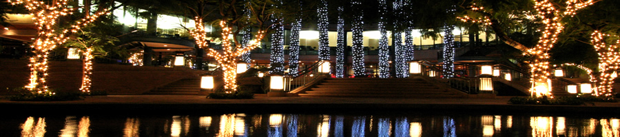 Holiday Night Lights